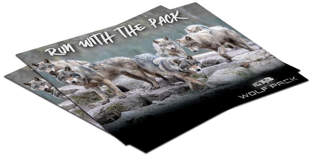 Wolf Pack Brochure