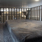  	Loft bunk May Show Optional Features. Features and Options Subject to Change Without Notice.