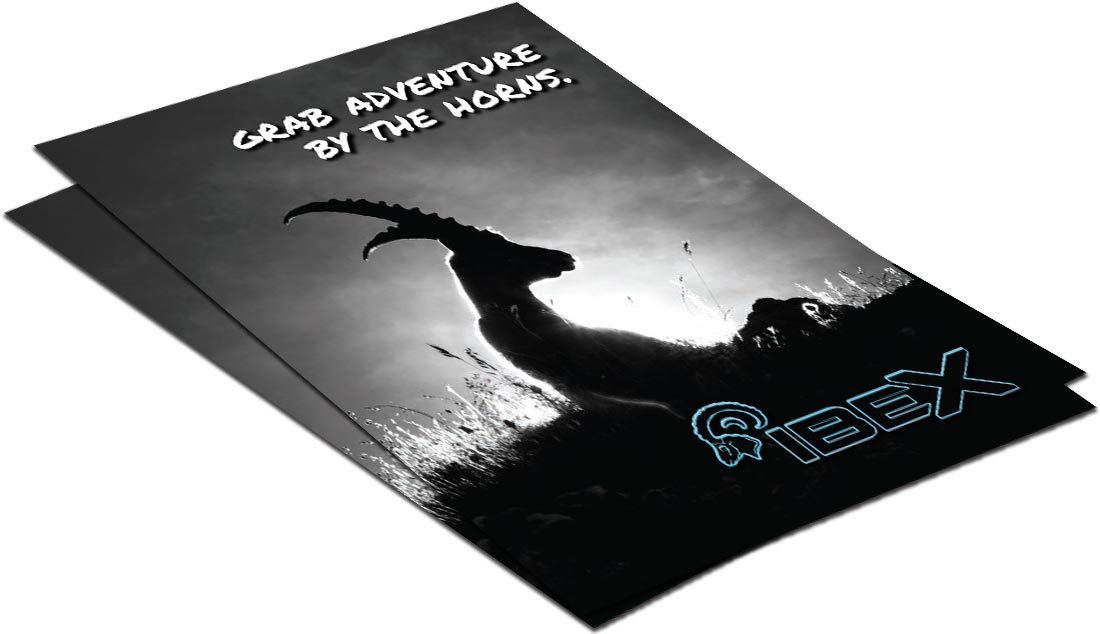 Ibex Brochure